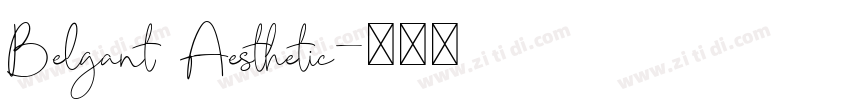 Belgant Aesthetic字体转换